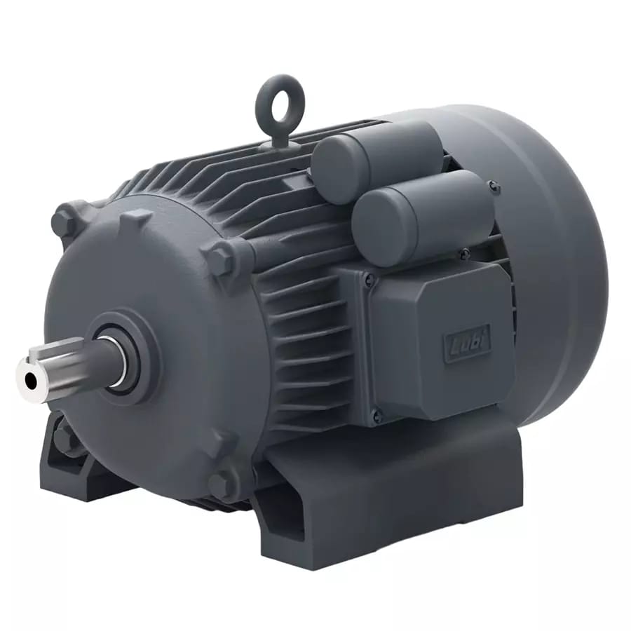 Lubi Single Phase 1.5 HP B5 Flange Mounted Special Motors, MMS01504