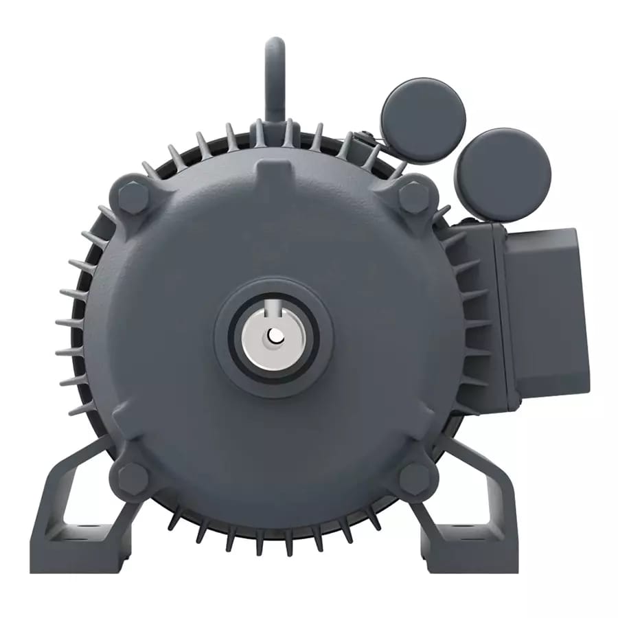 Lubi Single Phase 1.5 HP B5 Flange Mounted Special Motors, MMS01504