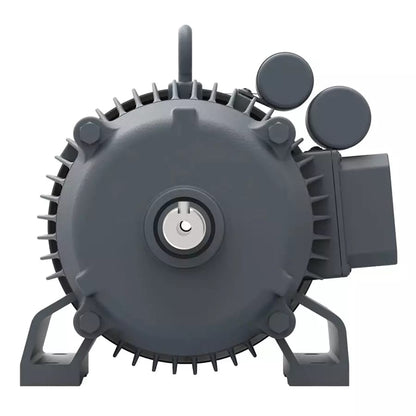 Lubi Single Phase 1.5 HP B5 Flange Mounted Special Motors, MMS01504