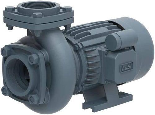 LUBI Monoblock Pumpset 1 HP (MDH-14E) (1.25X1) 28mtr Head